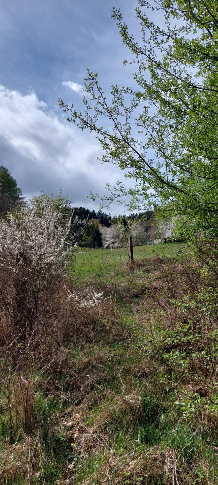 Na Samote, Sumava