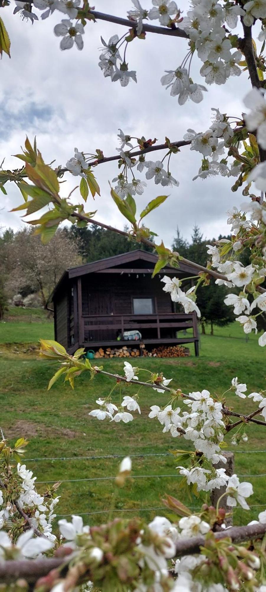 Na Samote, Sumava Chalet *