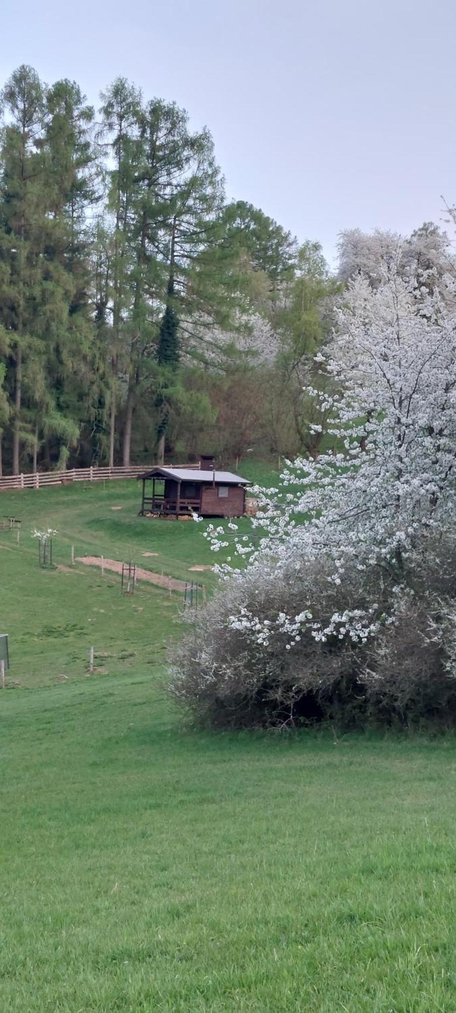 Na Samote, Sumava