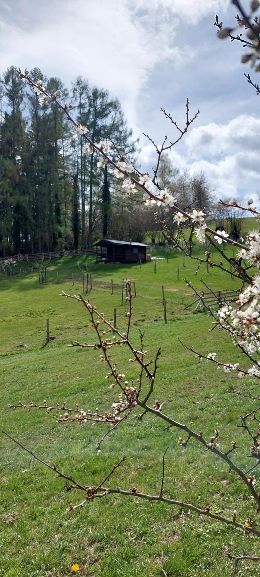Na Samote, Sumava